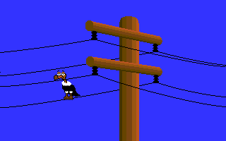 Vulture on phone pole